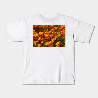 California Wild Golden Poppies Kids T-Shirt